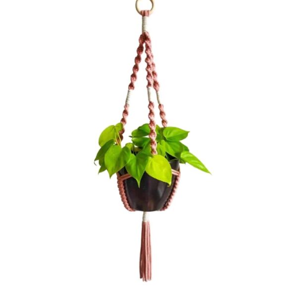 Macramé növénytartó, 'M' méret - Macrame plant hanger