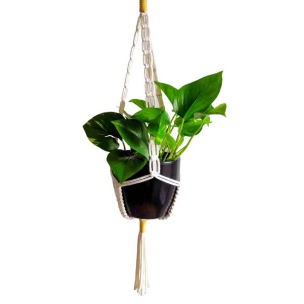 Macramé növénytartó, 'M' méret - Macrame plant hanger