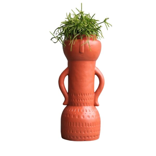 Vesszőkaktusz - Rhipsalis sp. - kőkaspóban